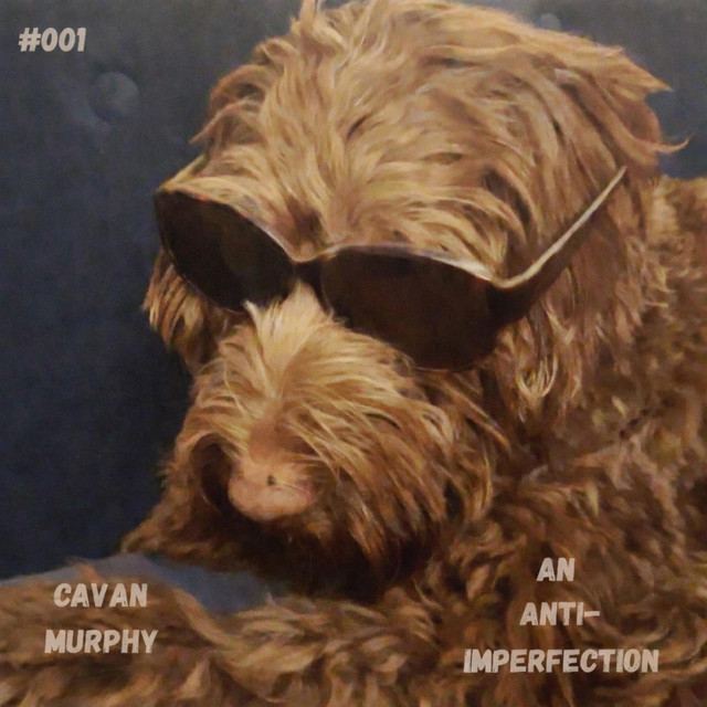 Cover artwork for An Anti-Imperfection by Cavan Murphy